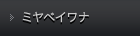 ミヤベイワナ