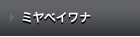 ミヤベイワナ