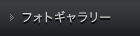 フォトギャラリー