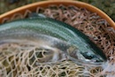 2009年然別湖特別解禁ファーストステージ