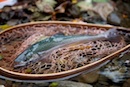 2009年然別湖特別解禁セカンドステージ